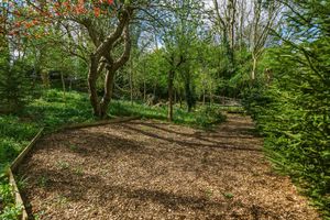 Photo 3- click for photo gallery